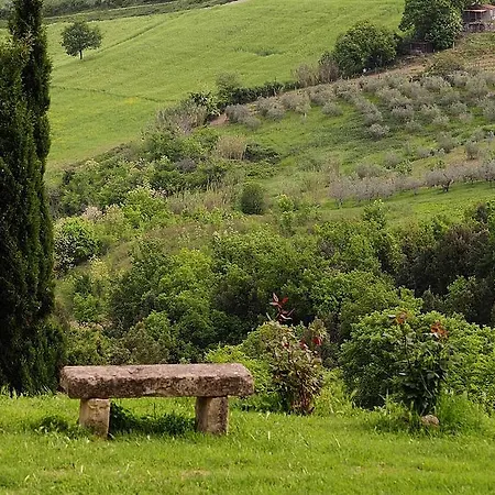 Podere Del Botruccio *